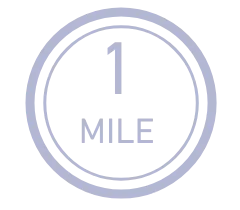 ANAマイルが貯まるイラスト